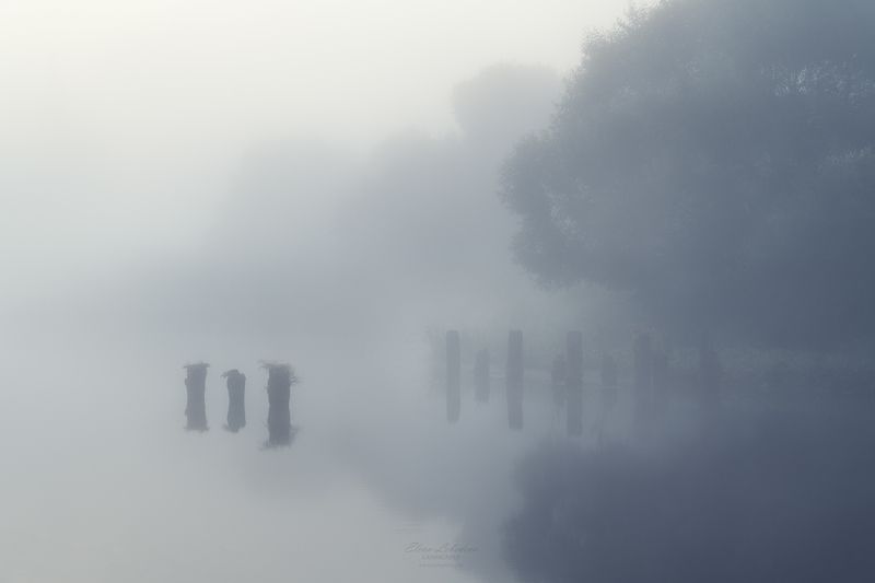 лето, утро, рассвет, туман, природа, пейзаж, россия, дунилово, отражение, тишина Неподвижность фото превью