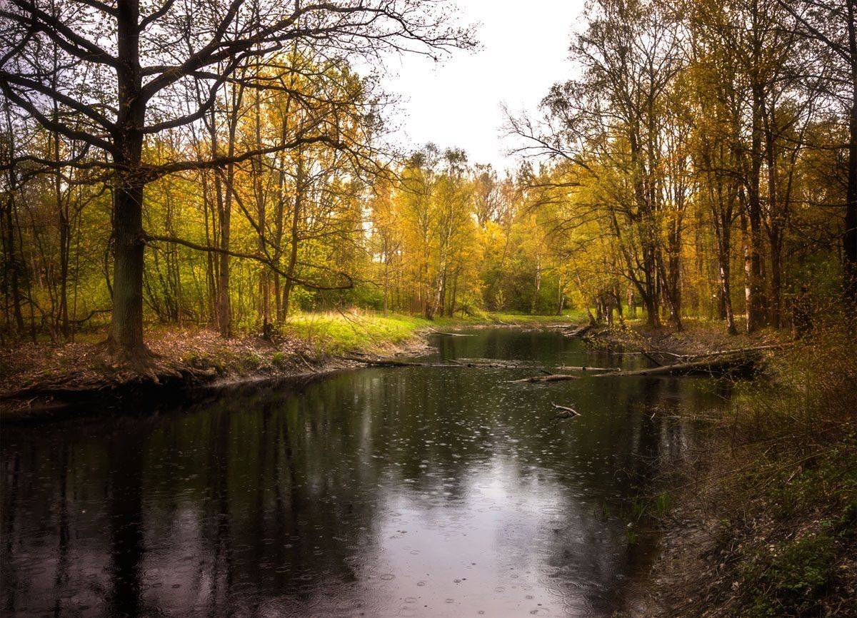 , Алексей Герасимов
