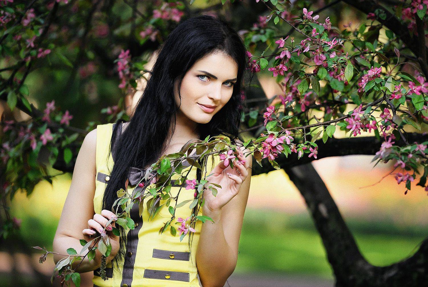 , Никитин Николай