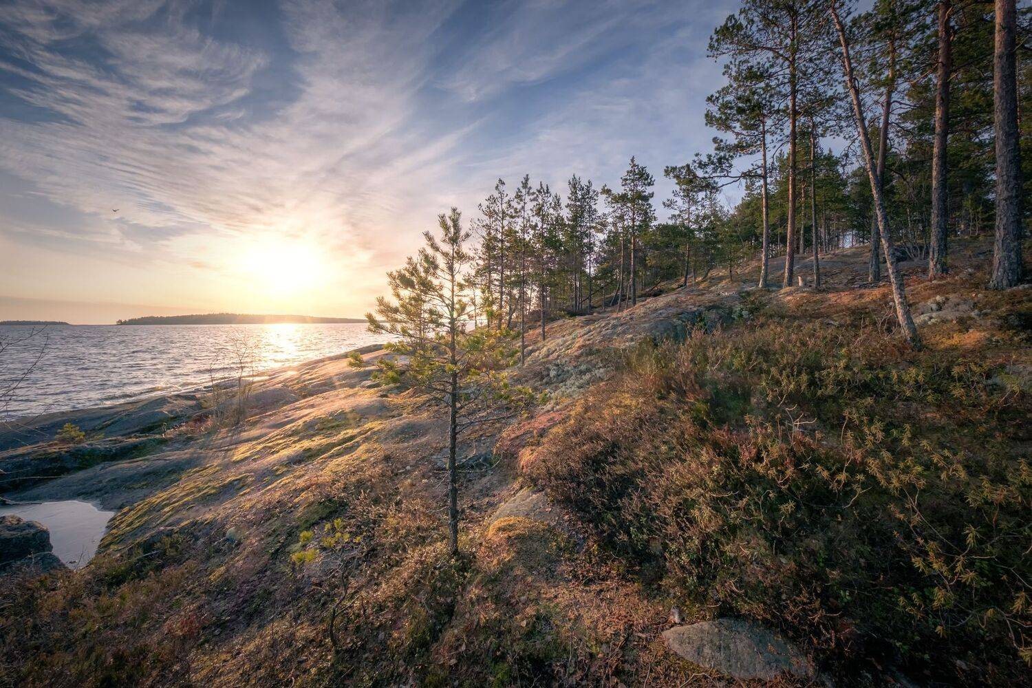 ладога, скалы, рассвет, солнце, лужа, лед, деревья, облака, пейзаж, природа, Андрей Чиж