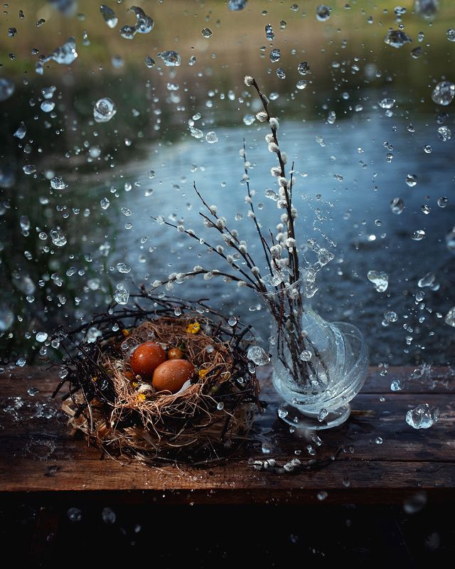 натюрморт, апрель, природа, верба 12 месяцев. Апрель фото превью