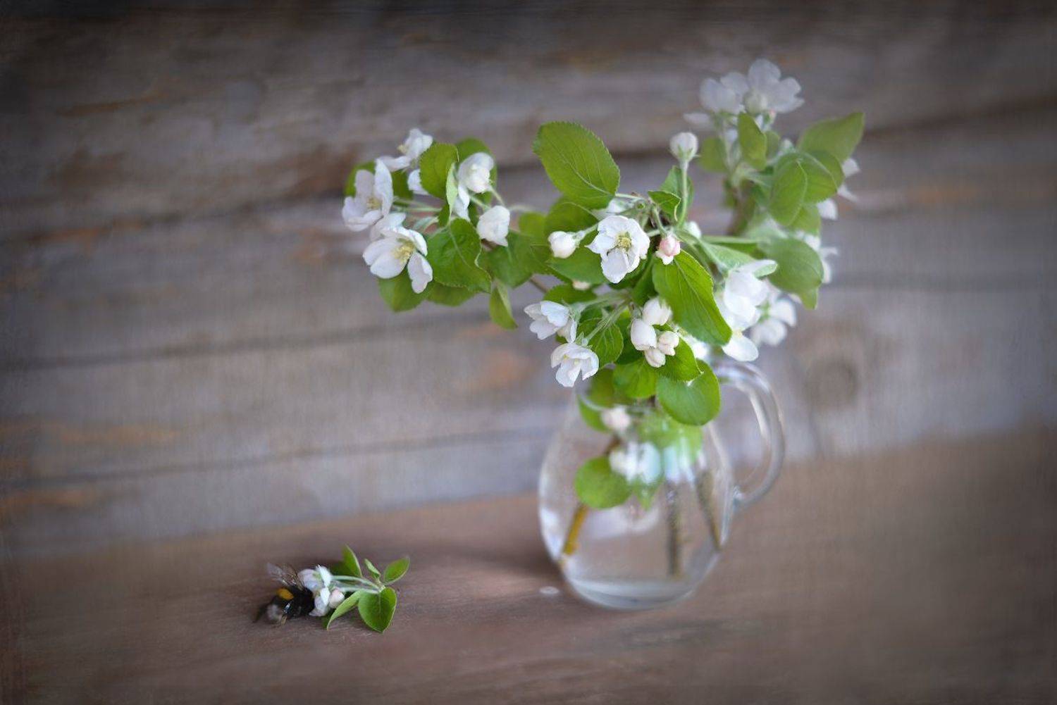 , Марина Никифорова