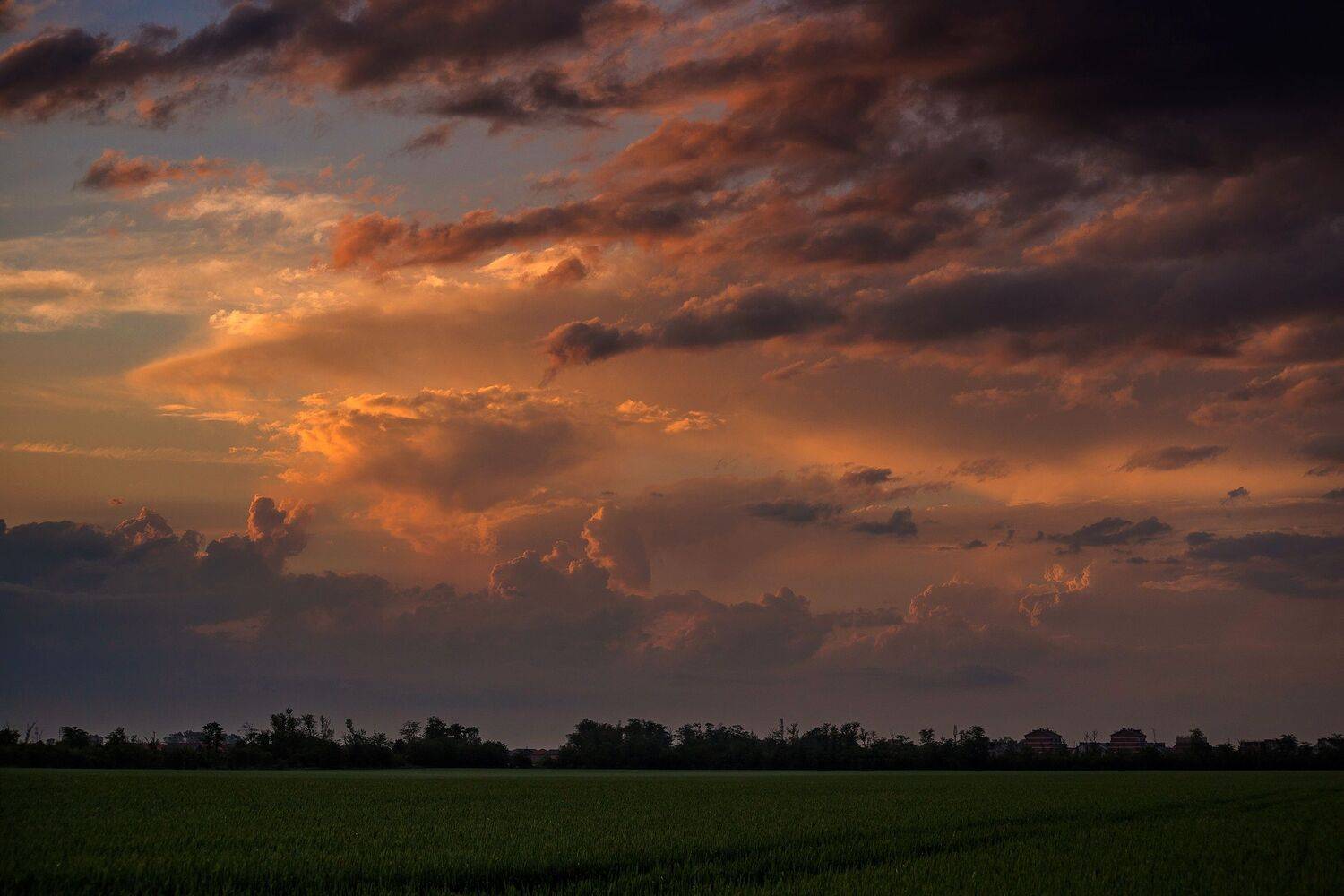 , Павел Сагайдак