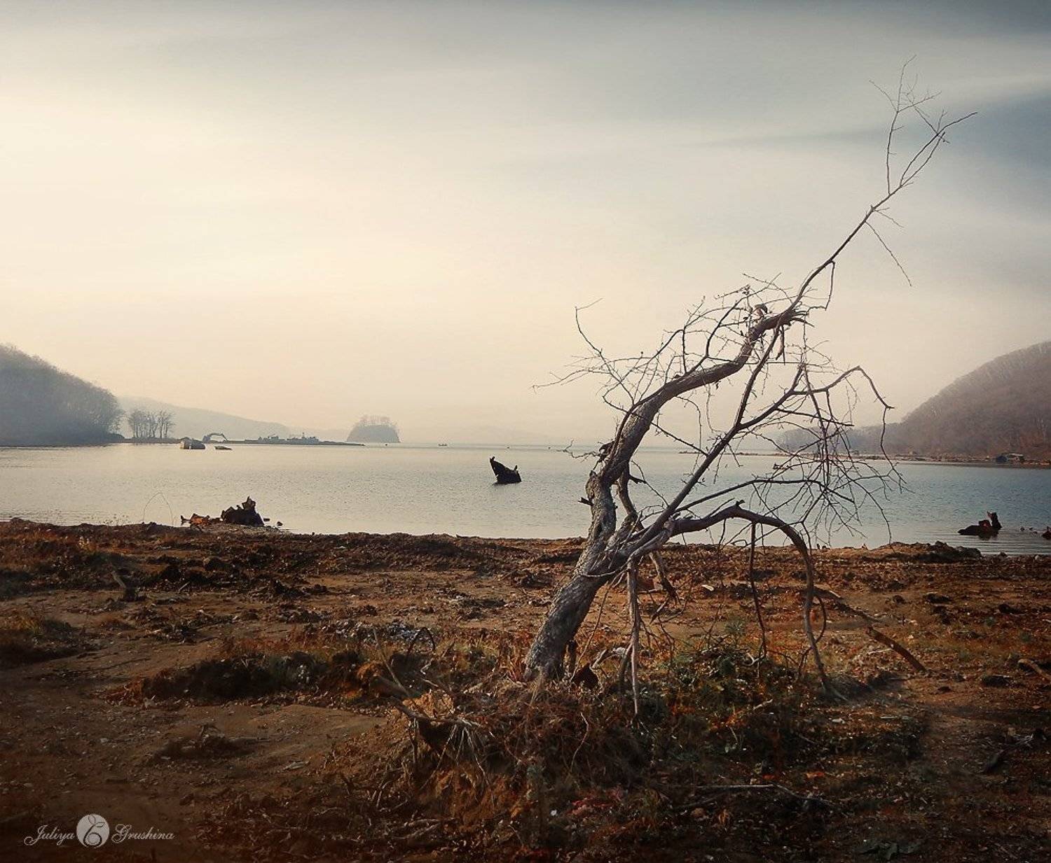 Берег, Грусть, Дерево, Море, Одиночество, Осенняя хандра, Осень, Остров Русский, Пейзаж, Серая осень, Серое небо, Серость, Грушина Юля