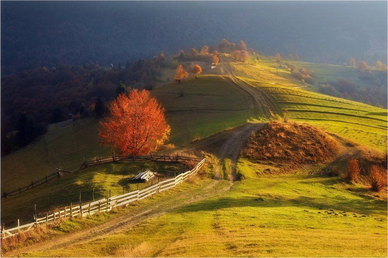 *** фото превью