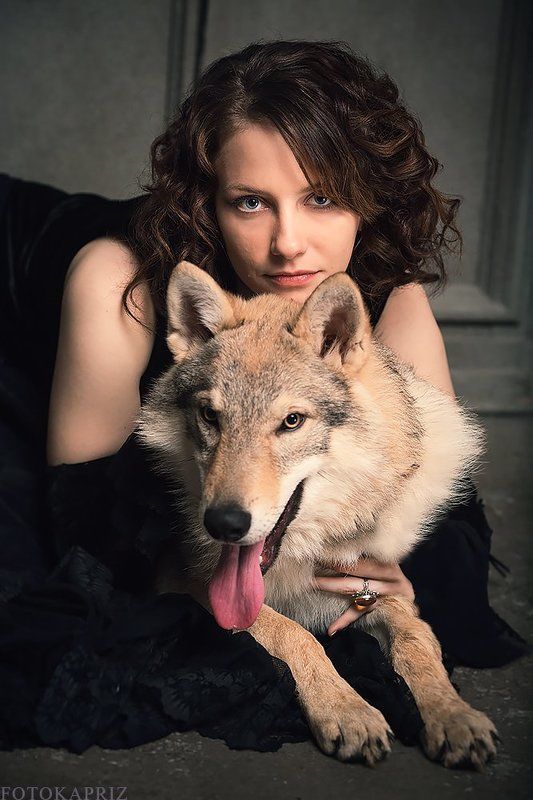 Wolf фото превью