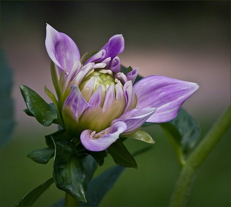 поздний... фото превью