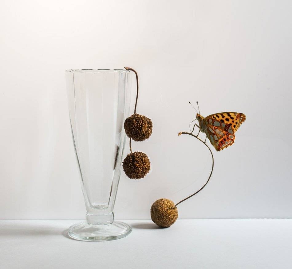 , Людмила Прокофьева