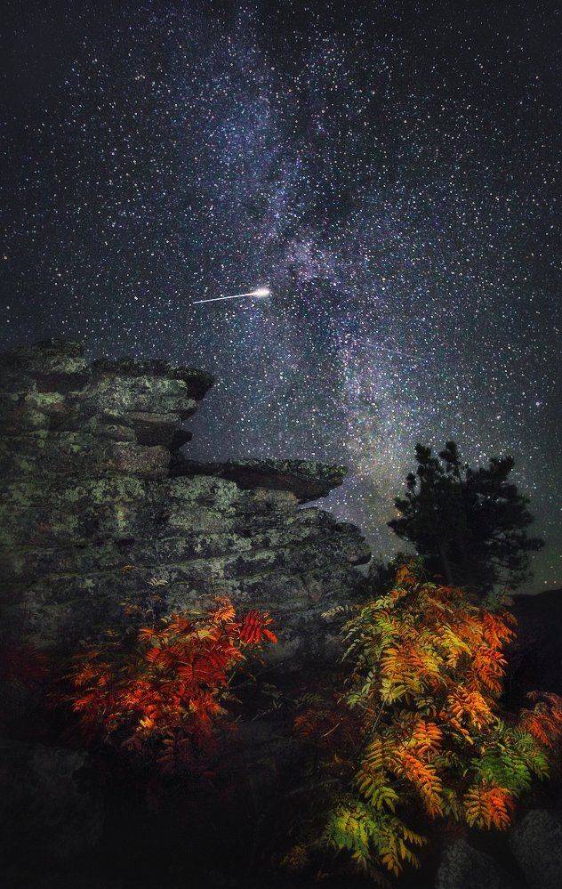 , Сергей Макурин