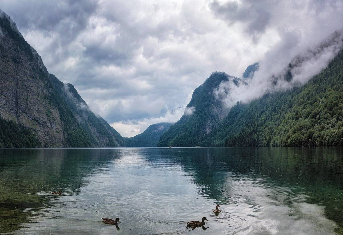 , Игорь Мелекесцев