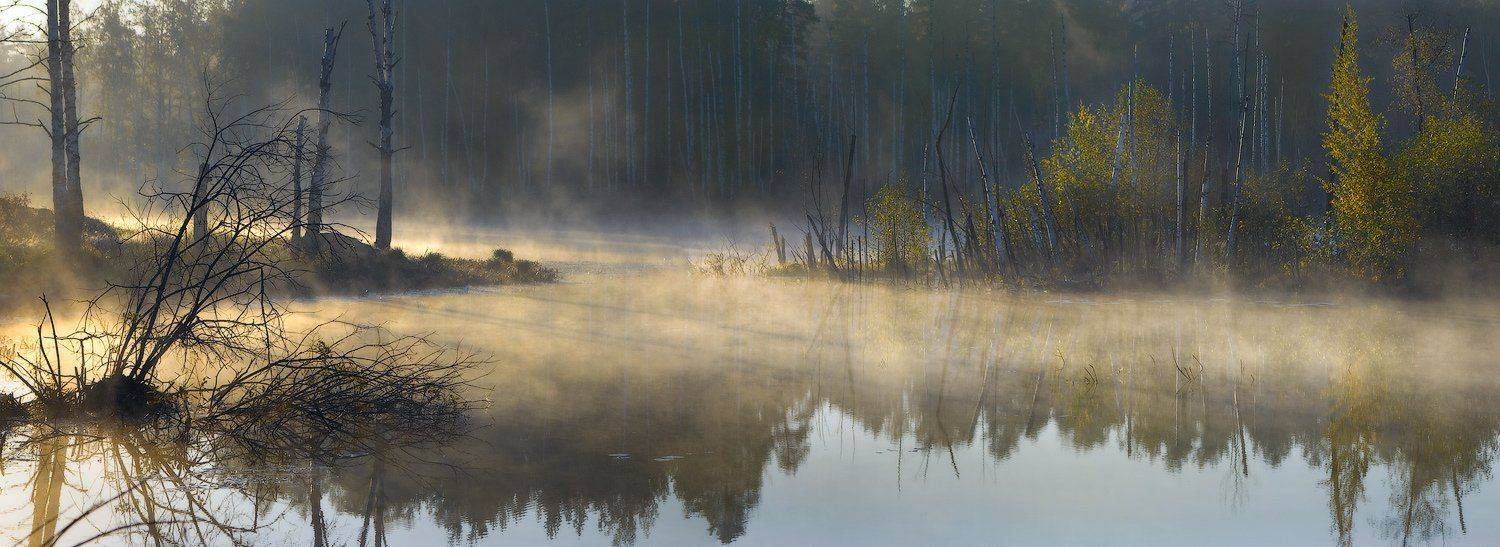 , Дмитрий Алексеев