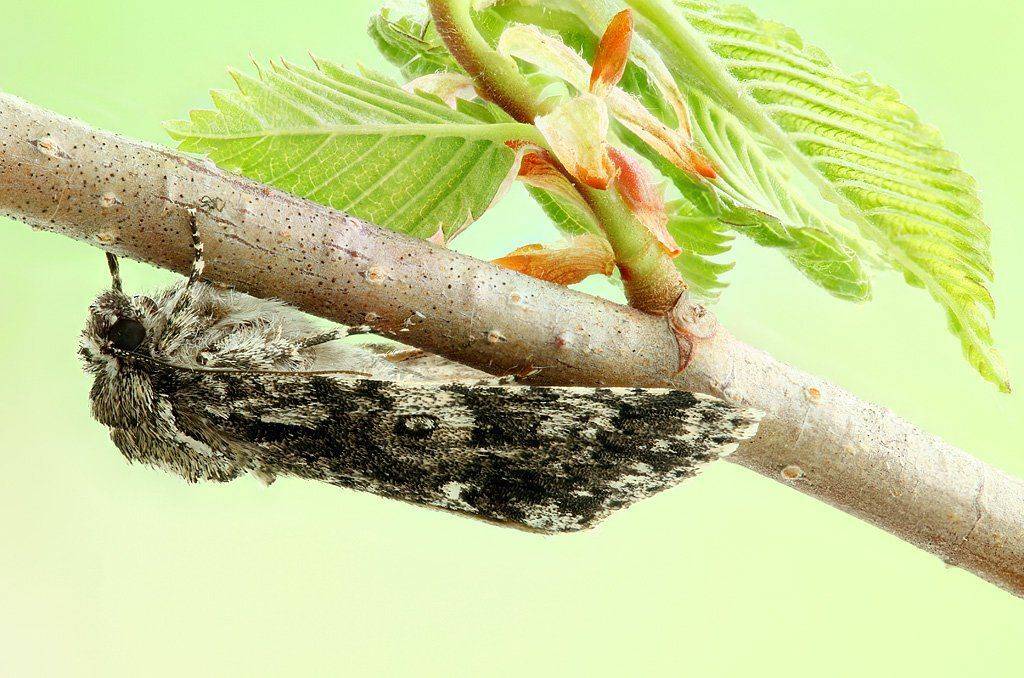 , Сергей Таланов