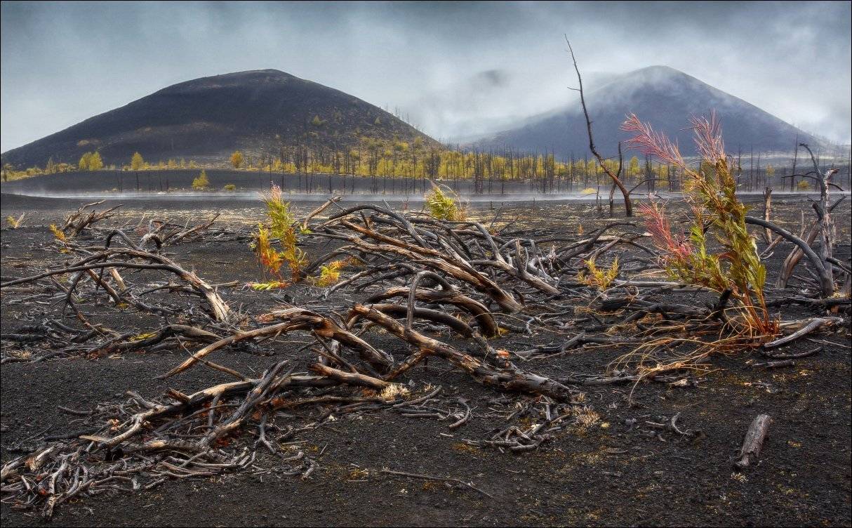 , Вадим Никифоров