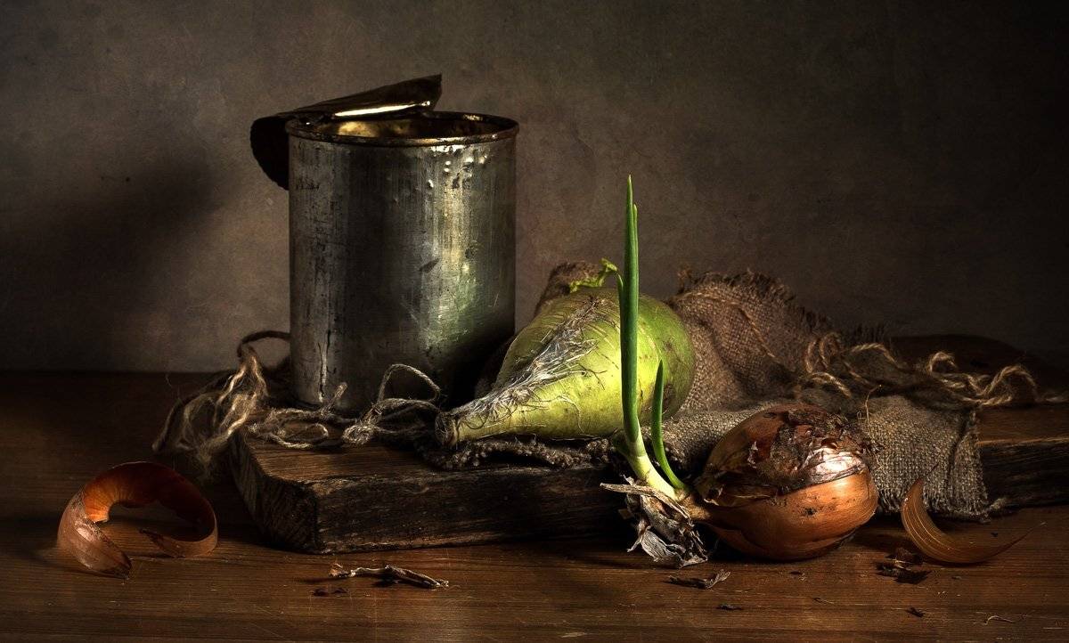 , Лев Сердюков