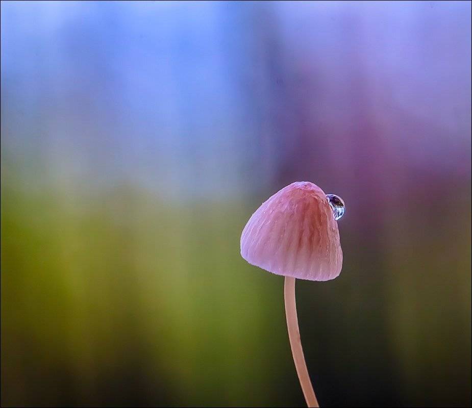 , Бурлов Андрей