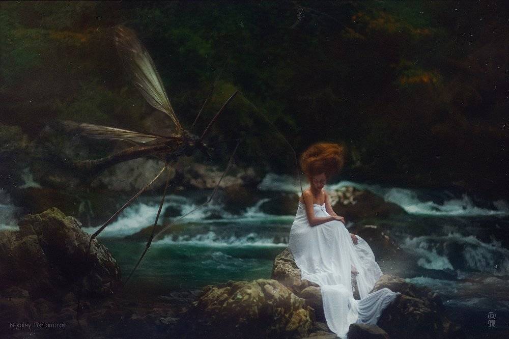 , Тихомиров Николай