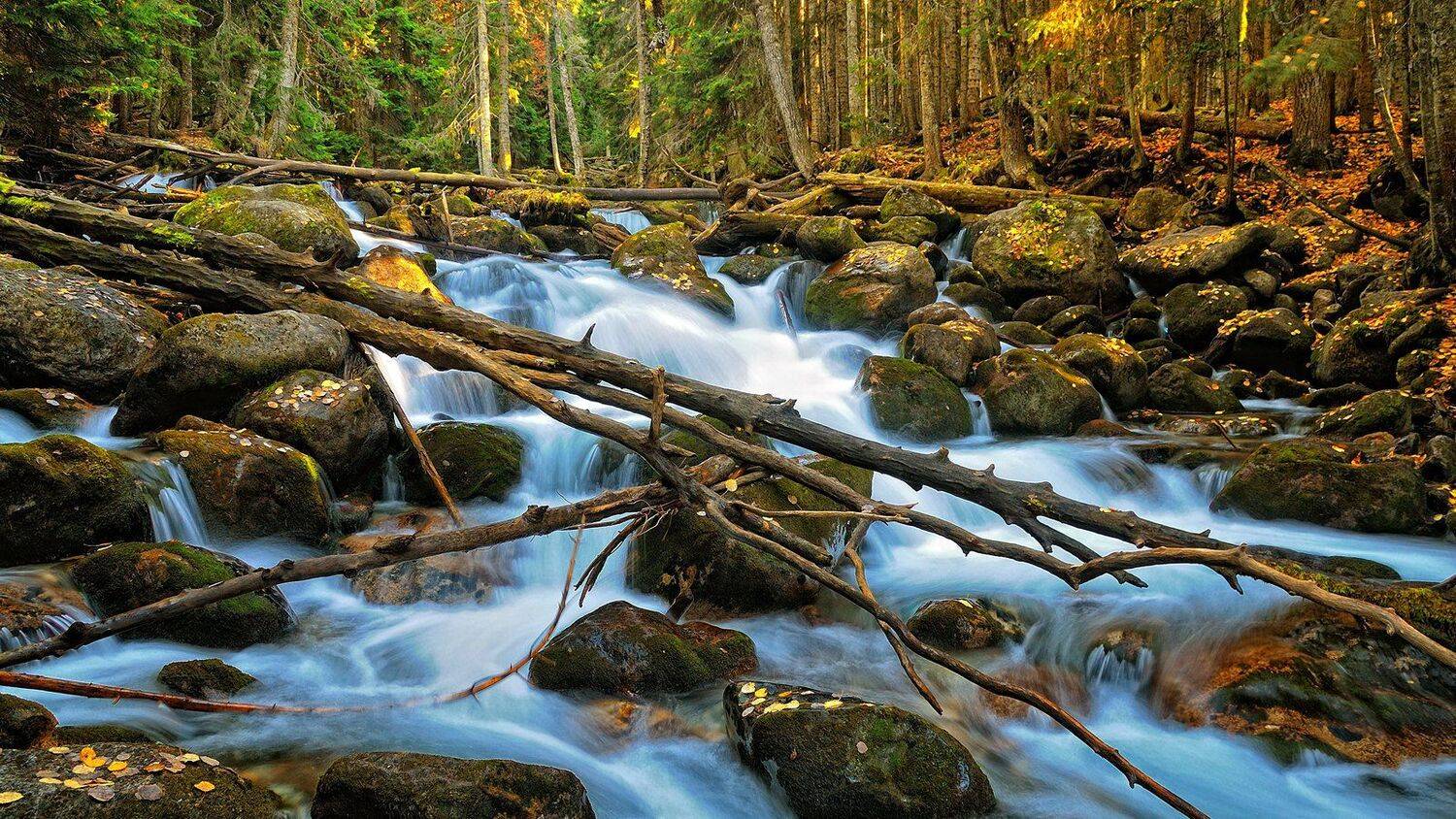 река, осень, лес, камни, горы, Serj Master