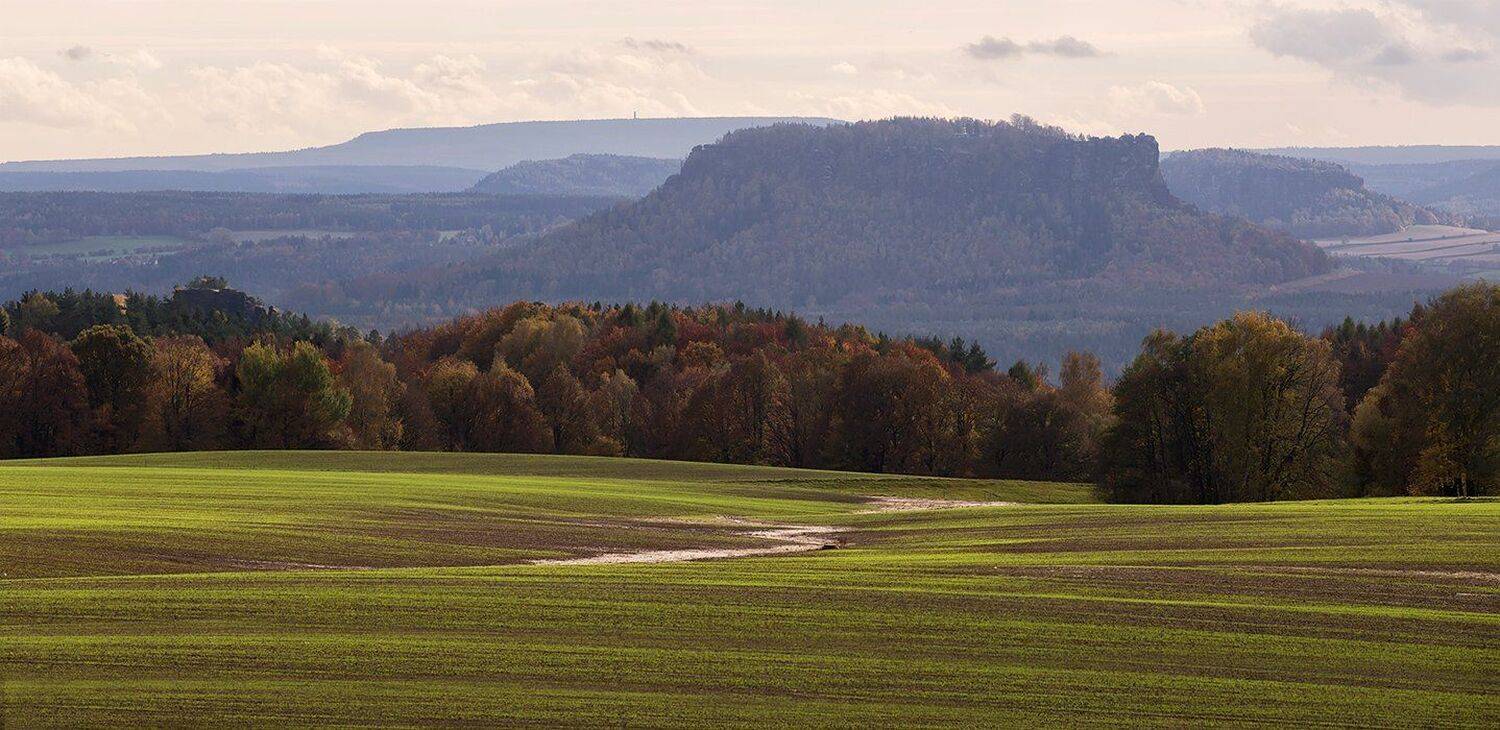 , Игорь Дубровский