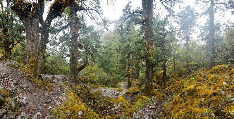 Окутанные тишиной фото превью