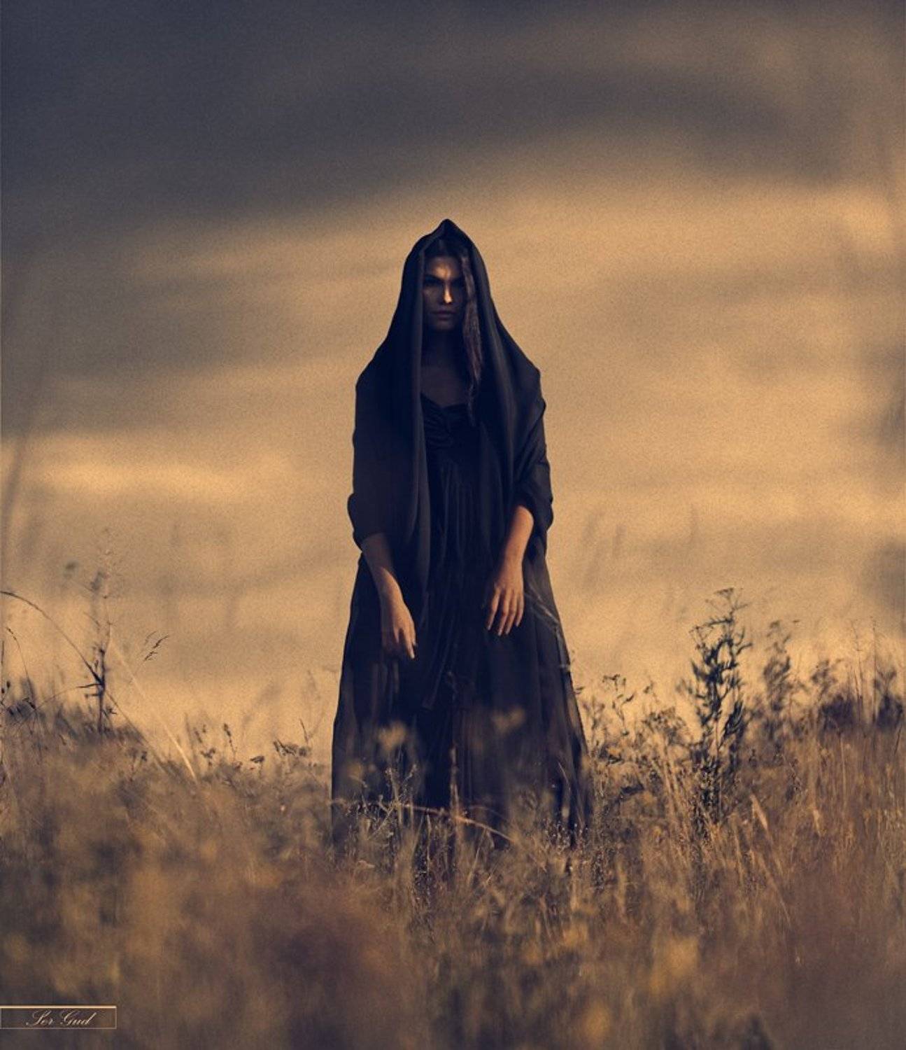 , Сергей Гуденко