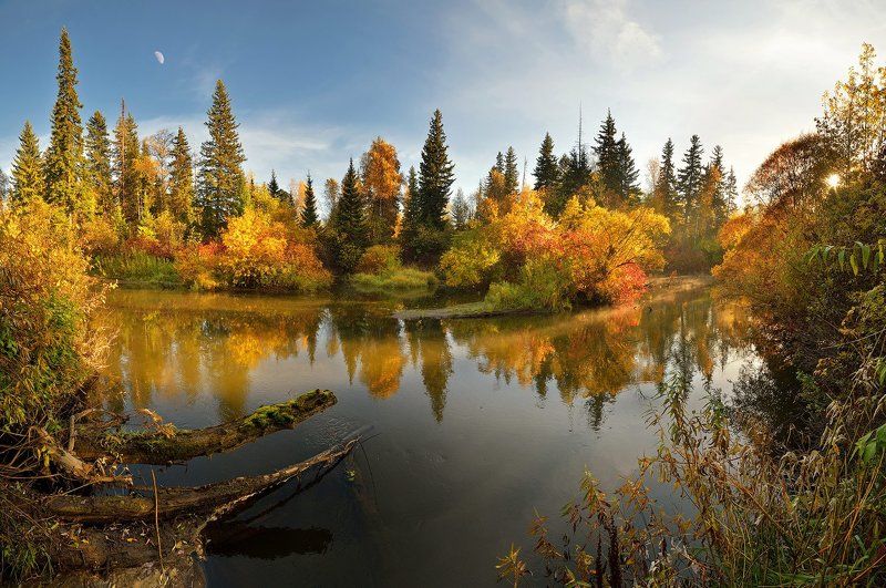 Ведь мелом можно рисовать, писать и чистить зубы! фото превью