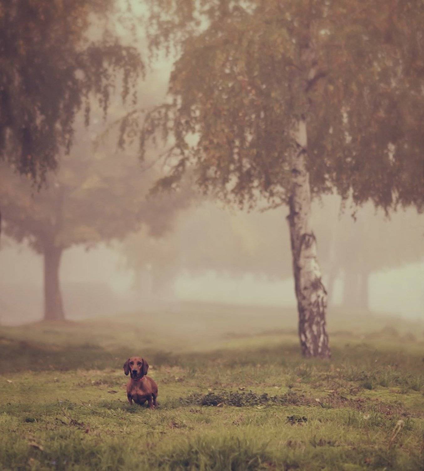 , Мария Чуркина