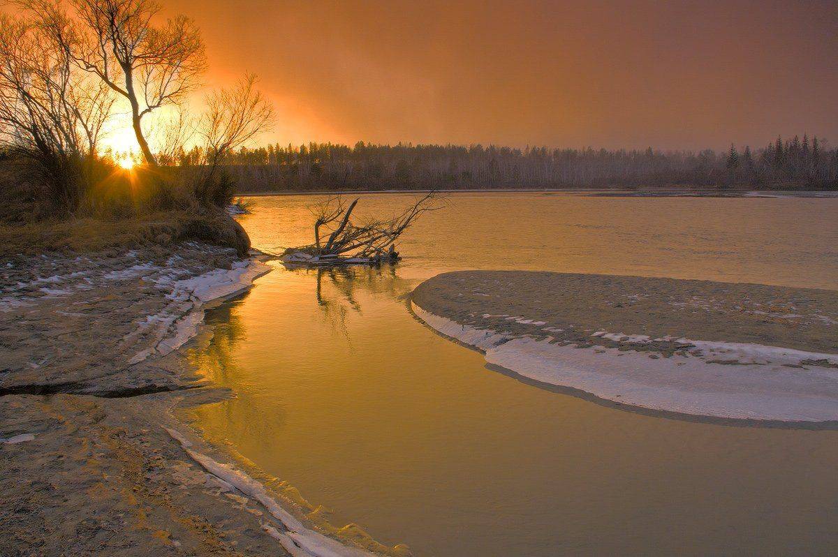 , Николай Морский
