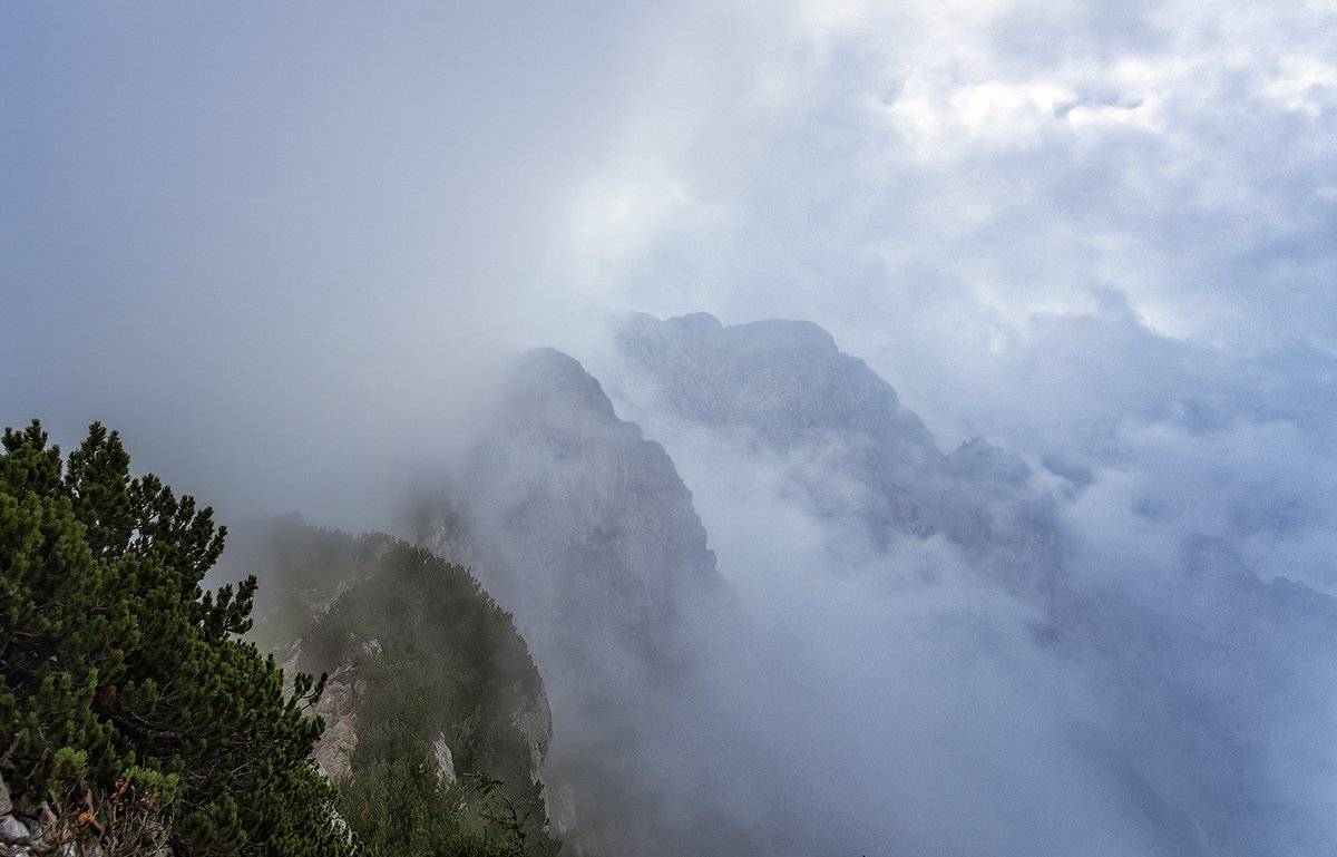 , Игорь Мелекесцев