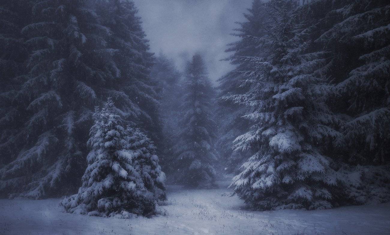 , Михаил  Пилипенко