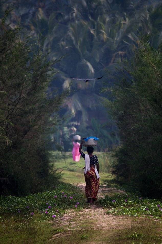 , Людмила Прокофьева