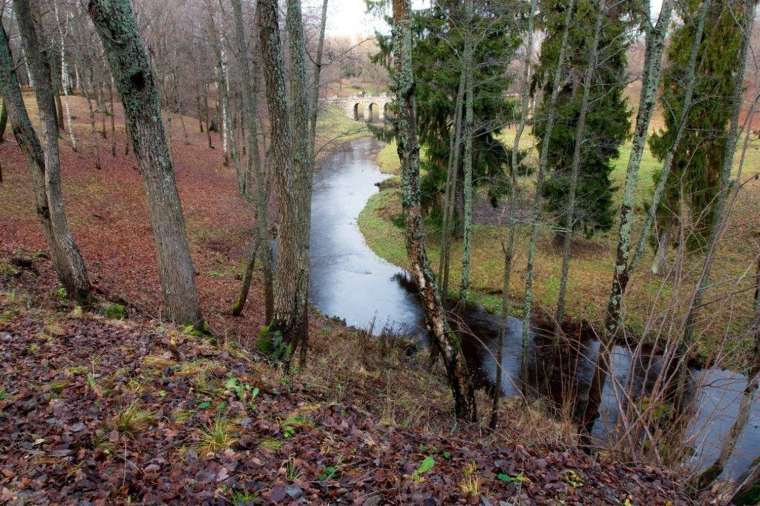 , Макаров Сергей