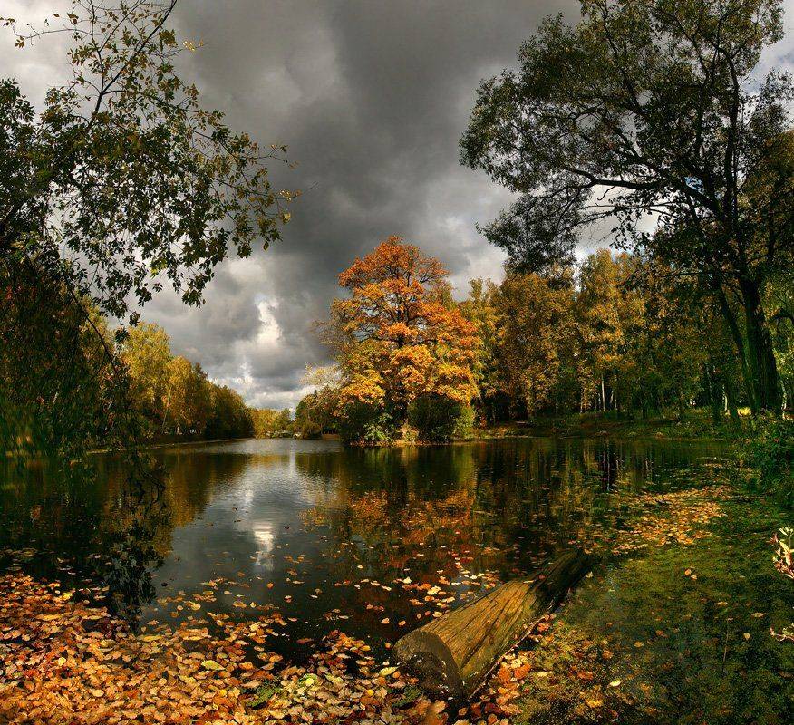 , Лихарев Александр