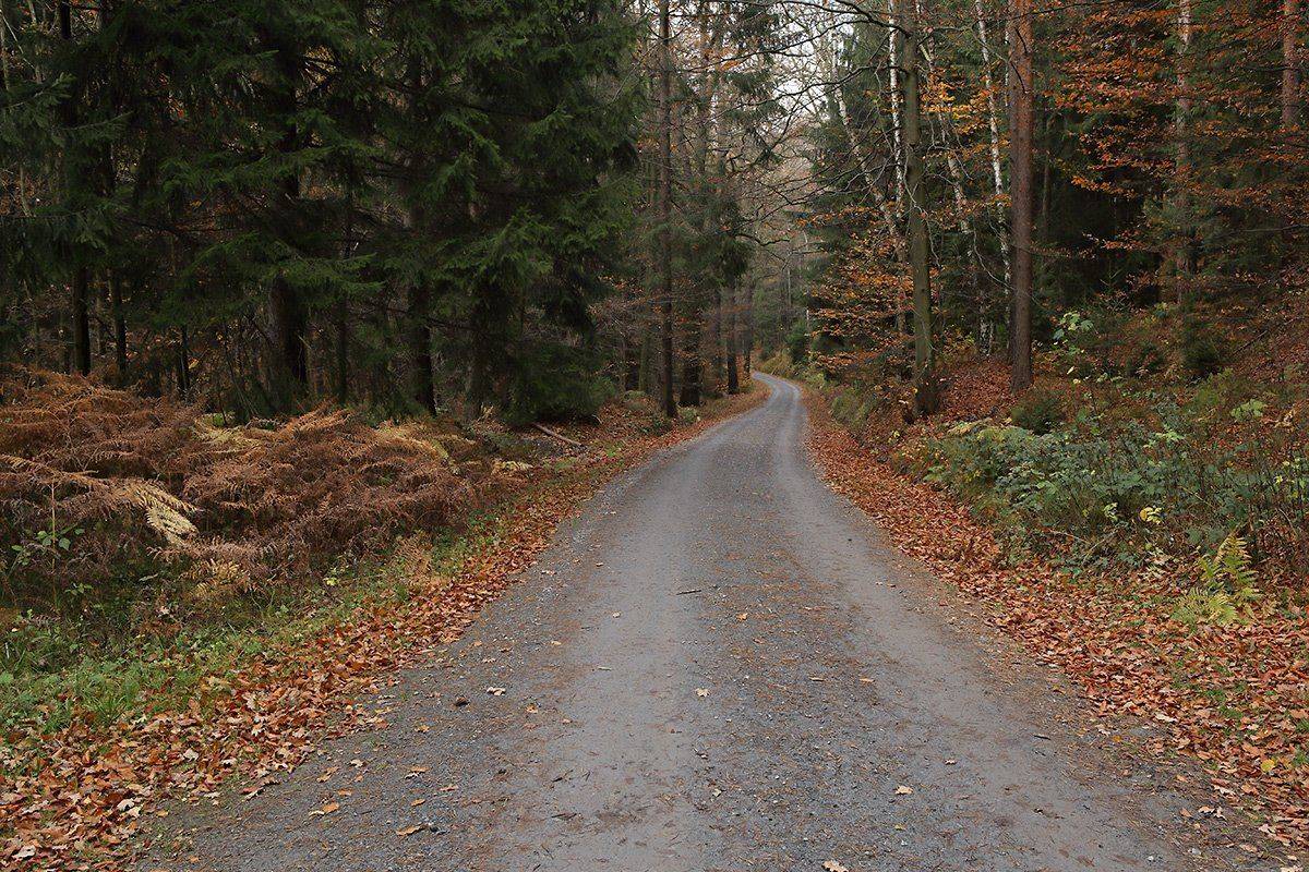 , Игорь Дубровский