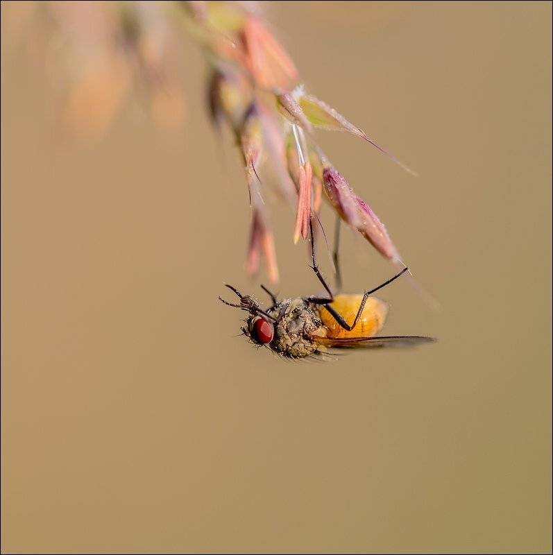 , Бурлов Андрей