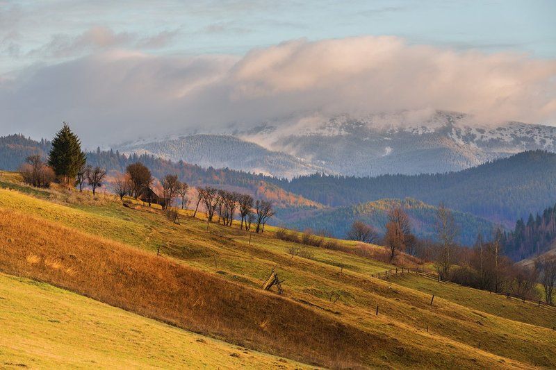 Карпатская фото превью