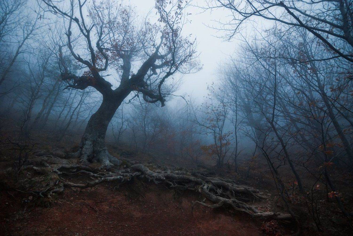 крым, демерджи, Сорокин Олег