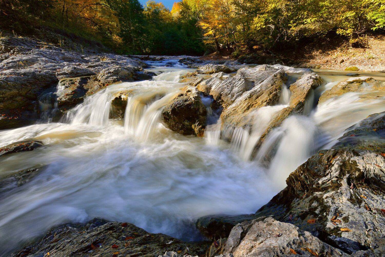, Максим Евдокимов