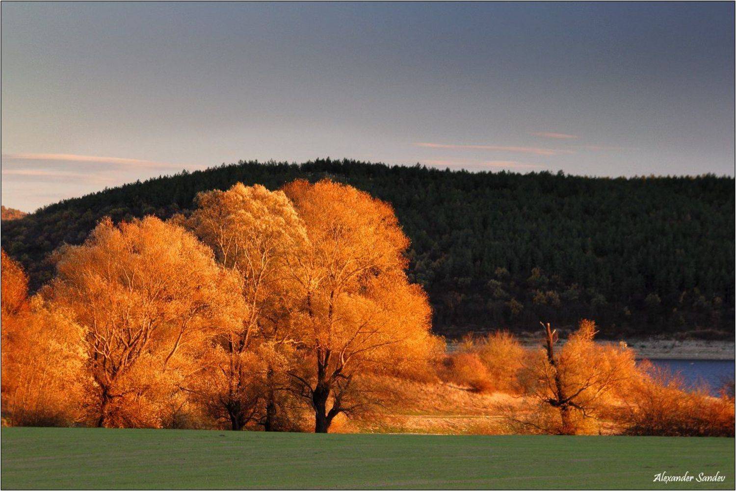 , Александър Сандев