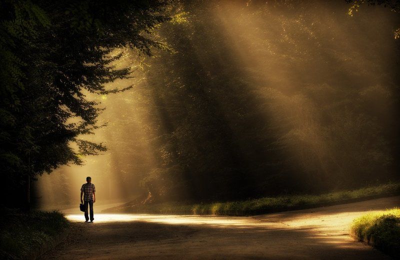 \\\\\\\\ фото превью