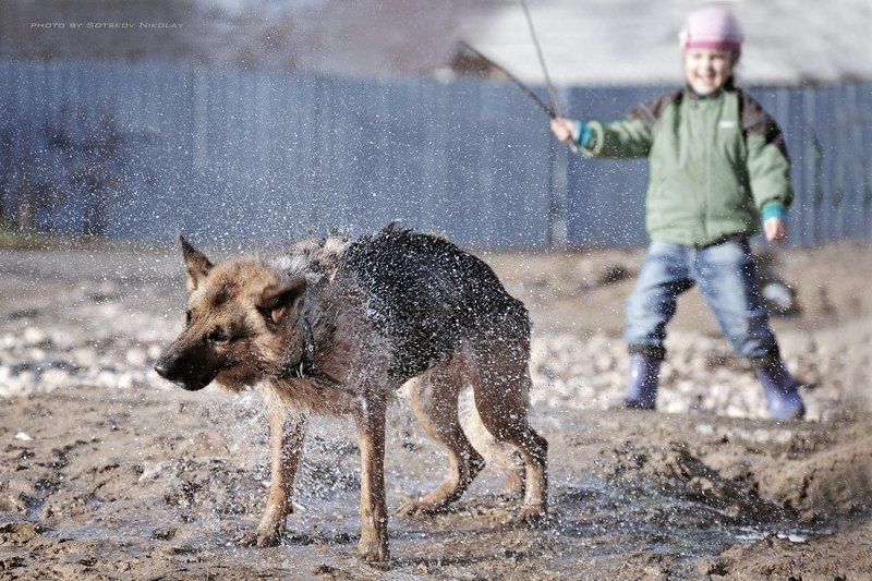 Ноябрьское купание фото превью