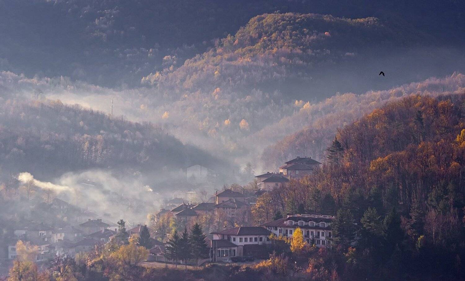 , Ирина Костова