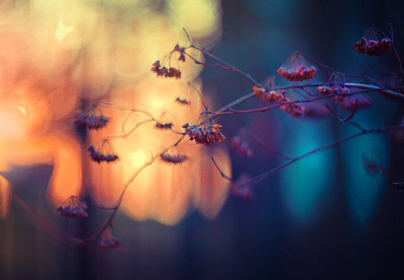 Уходящее фото превью