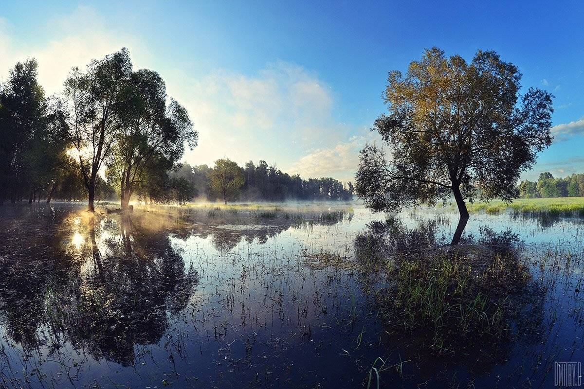 , Дмитрий Доронин