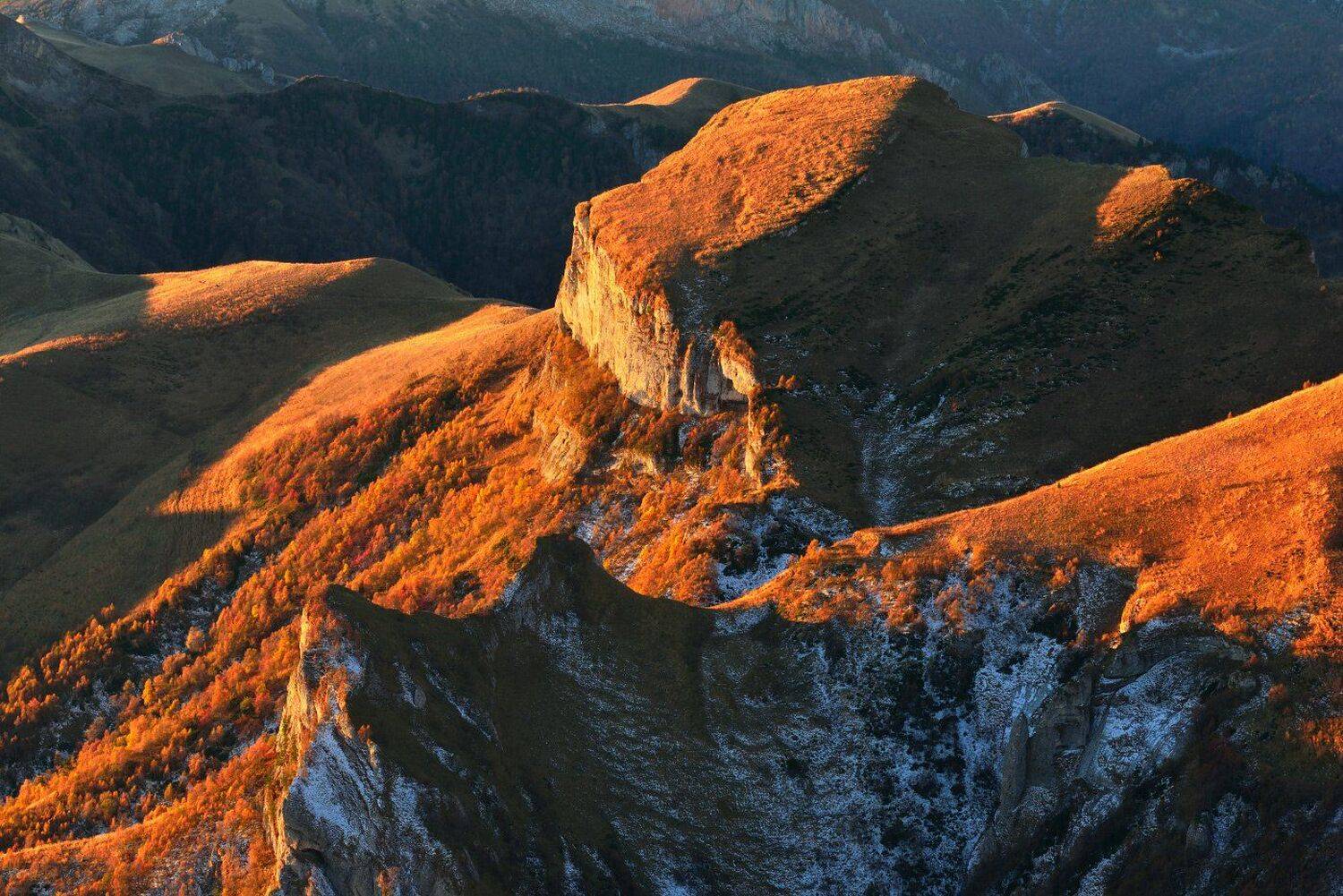 , Максим Евдокимов