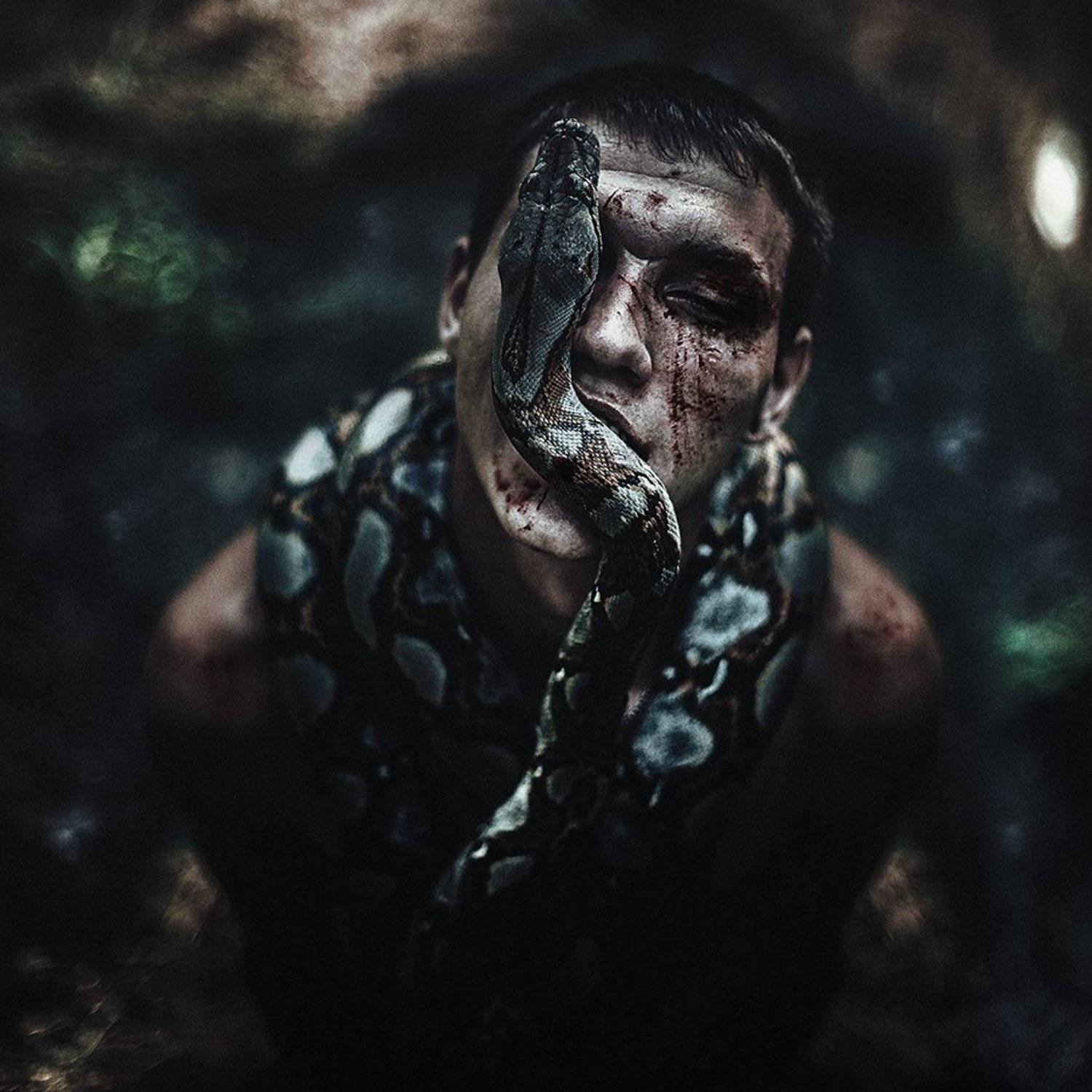 Snake, Змеи, Квадрат, Лес, Портрет, Geo Arcus