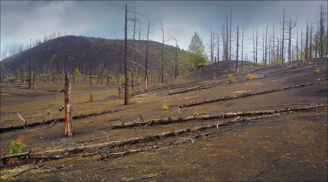 , Вадим Никифоров