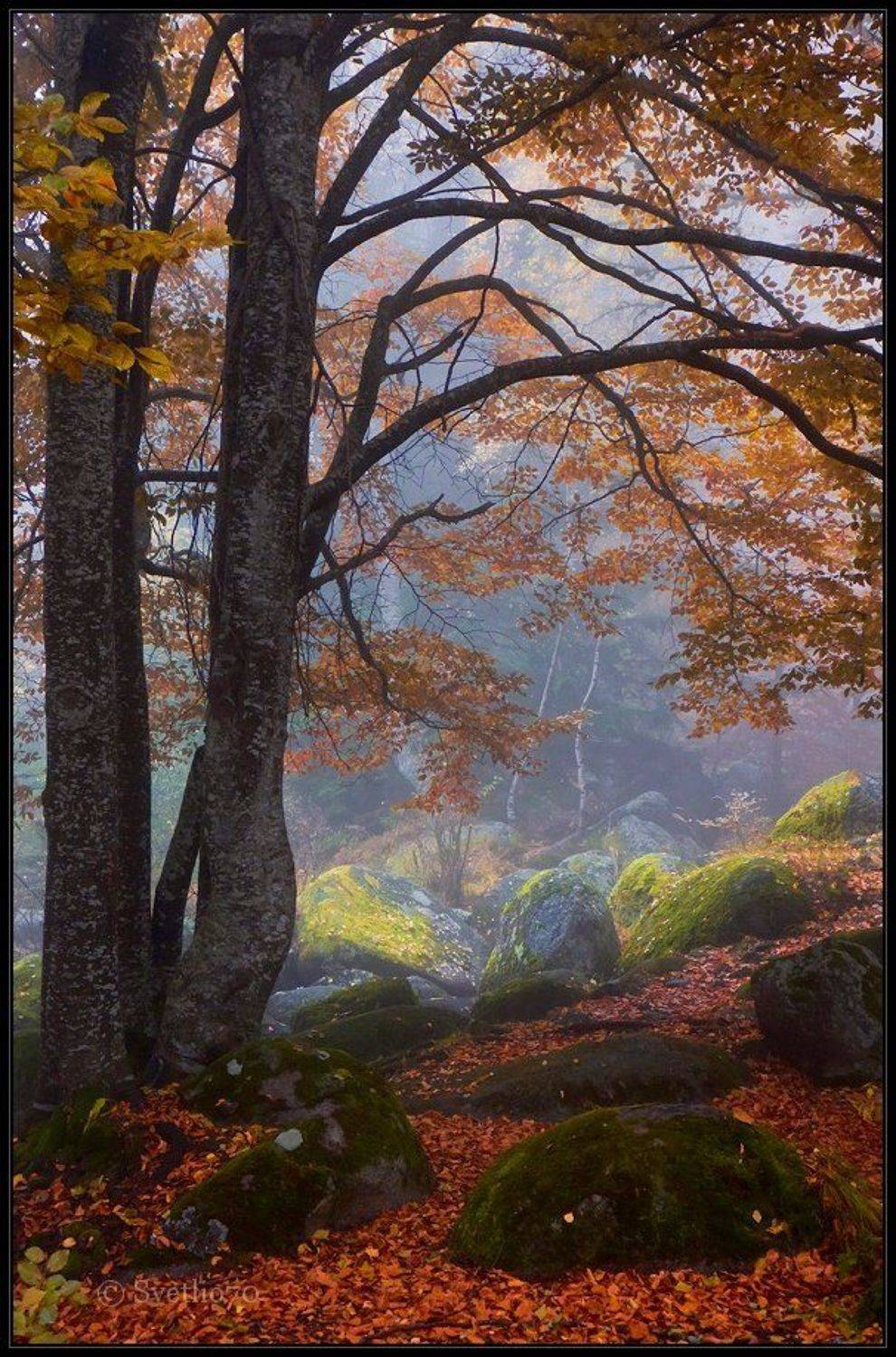 , Svetoslav Georgiev