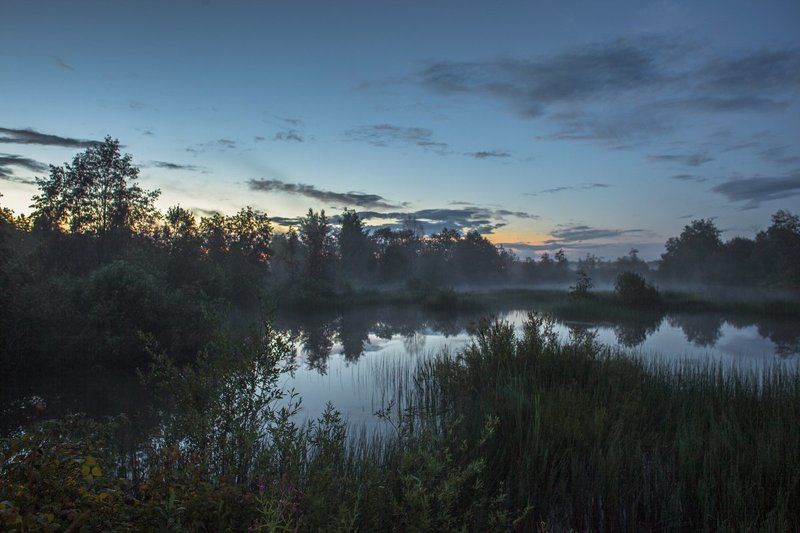 Сумерки фото превью
