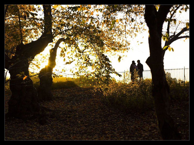 Goodbye autumn фото превью