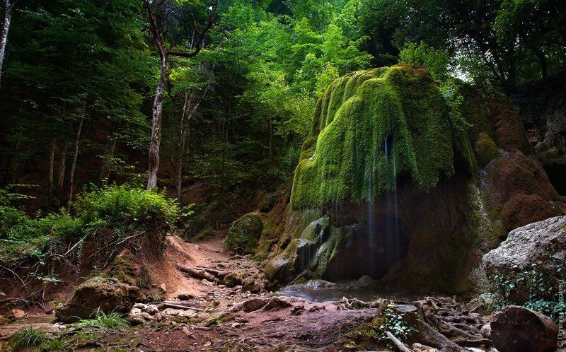 Водопад, Водопады, Воробей, Дмитрий воробей, Заповедник, Каньон, Крым, Пейзаж, Природа, Река Жемчужина Крыма фото превью